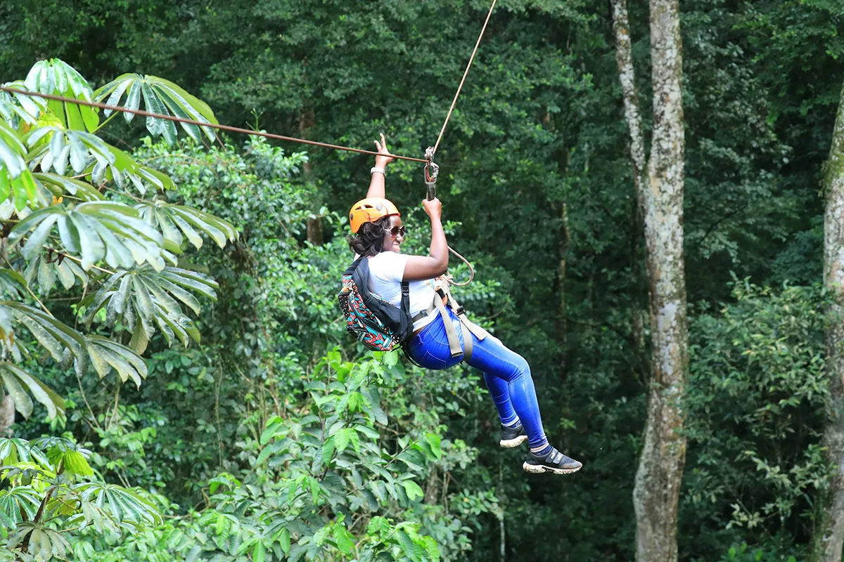 Shore Excursions