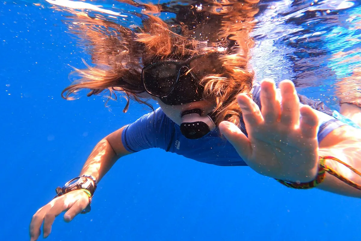 Venture Ashore